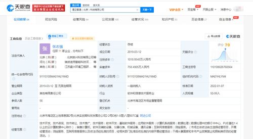 基础软件服务 数字时代的坚实基石